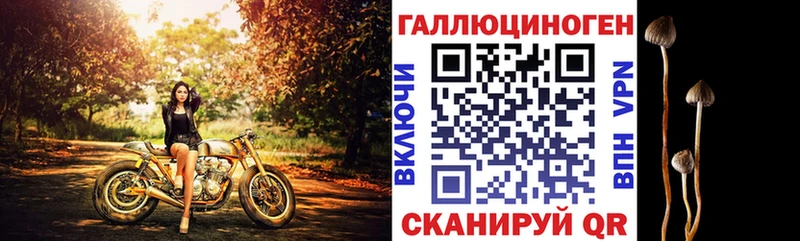 Псилоцибиновые грибы ЛСД  наркота  Циолковский 